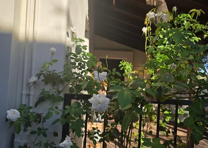 Pool, Historic And Charming, 2br 2ba, Fenced Yard